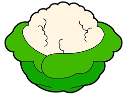 Cauliflower on white background