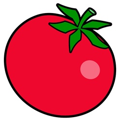 Red tomato on white background
