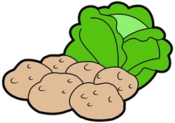 Green cabbage and potatoes on white background