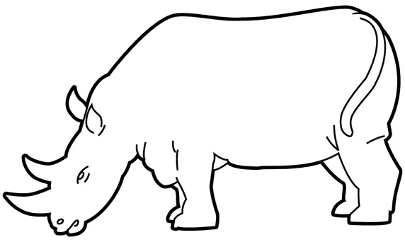 Rhinoceros on white background
