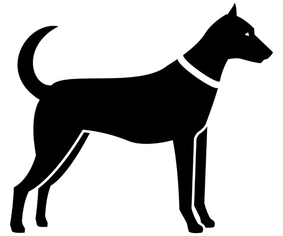 Silhouette of dog on white background