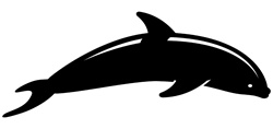 Silhouette of dolphin on white background