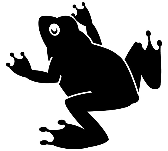 Silhouette of frog on white background